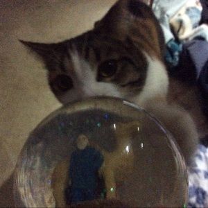 Meet your Posher, Mary